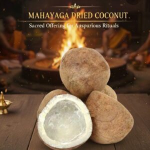 Dried Coconut/Copra